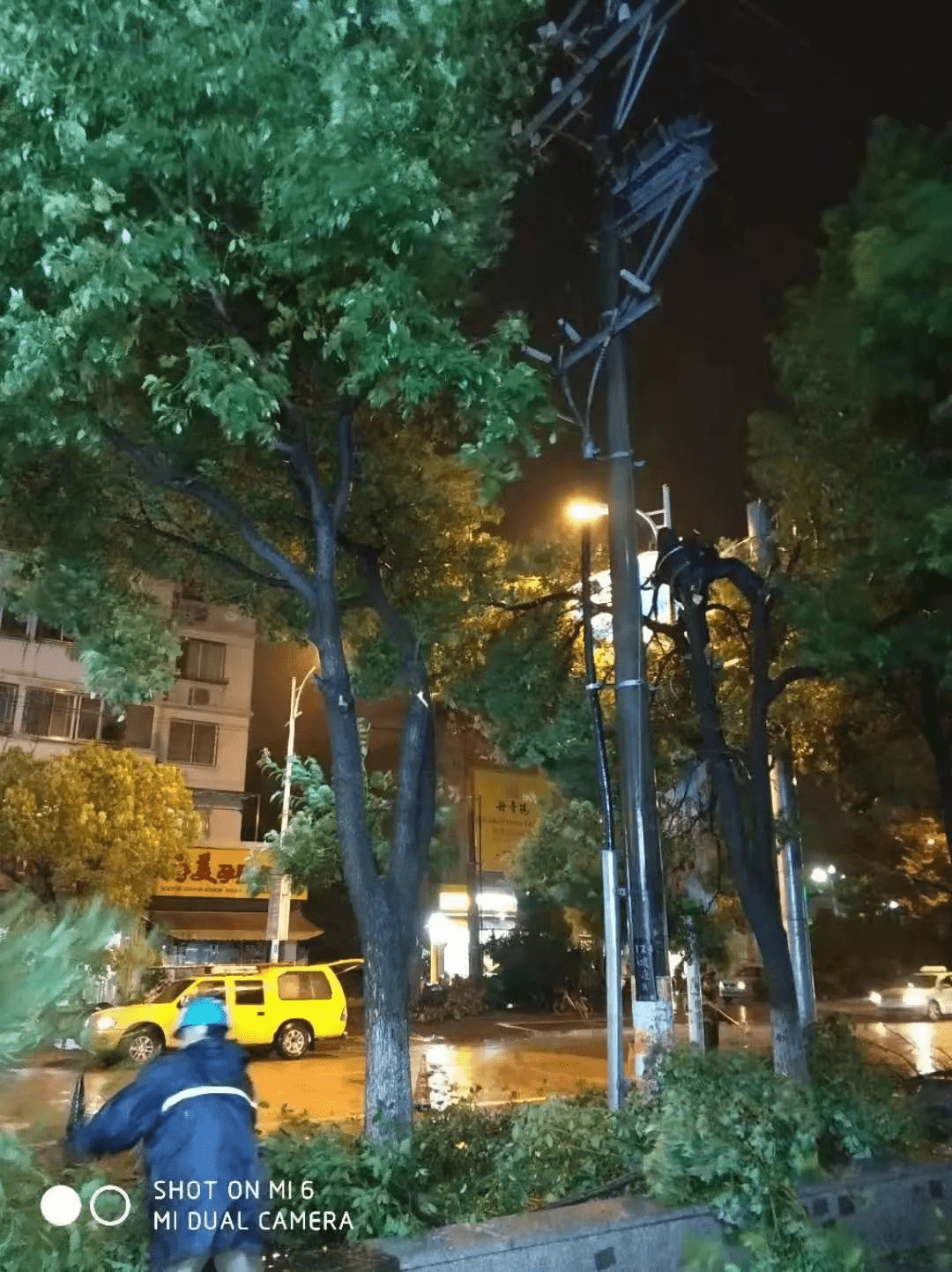 強風，暴雨，普元與你在一起！
